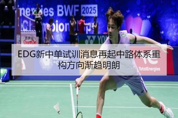 EDG新中单试训消息再起中路体系重构方向渐趋明朗